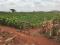 KAPUTEI 100 ACRES 20KM FROM EMALI ON SALE @800k/ACRE