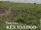 PRIME PLOTS FOR SALE IN KISAJU
